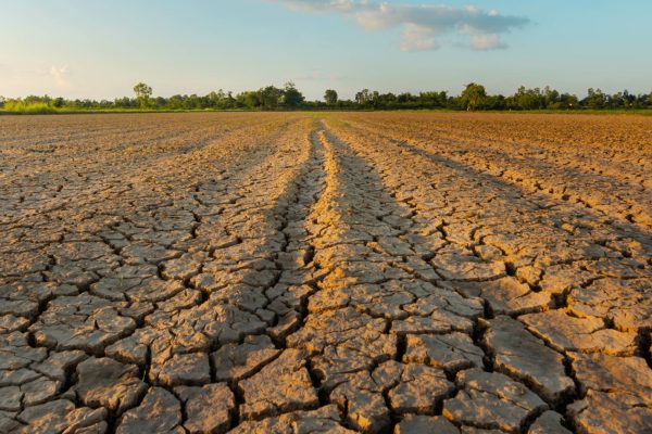 Drought Field Climate Change Risk